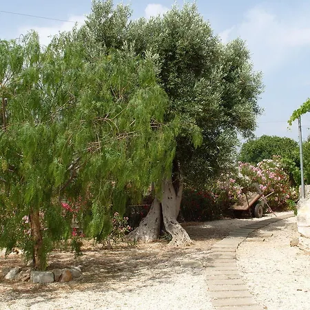 Masseria Casa Nostra Fasano